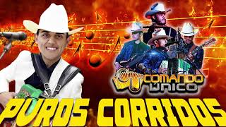 Comando Unico Mix Puros Corridos  20 Exitos [upl. by Colvert273]