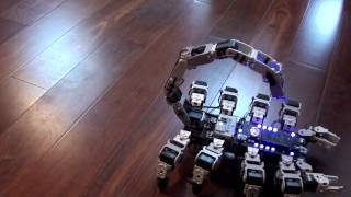 Bioloid Scorpion Robot  first video  Full 8 leg walking stinger and pincers [upl. by Carver]