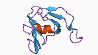 Protease inhibitor biology  Wikipedia audio article [upl. by Ahsias]