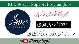 KPK Rozgar Support Program Jobs 2024  E Rozgar  jobs  pakistan government job  latest jobs 2024 [upl. by Ettenoitna]