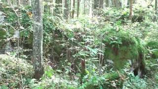 der Hintersee bei Berchtesgaden  Ramsau  Ein Spaziergang um den See herum  gesehen von Thilo [upl. by Payton]