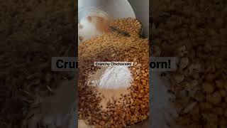 Crunchy Chichacorn Agribusiness How It Works [upl. by Ferdinand]