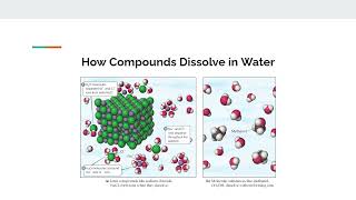 ChemThe Central Science41 General Properties of Aqueous SolnsJake S [upl. by Noynek]