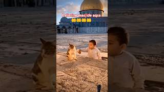 pelistine masjide Aqsa 🤲🤲🤲khanekaaba madinaharbic trendingreels shortvideo [upl. by Elleinnod]