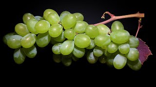 Grapes to Raisins Time Lapse  50 Days【4K】 [upl. by Riha300]