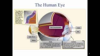 Private Pilot Tutorial 16 Aeromedical Factors Part 2 of 2 [upl. by Eatnod29]