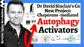 Dr David Sinclair’s Cos NEW Project  Small Molecules Autophagy Activators [upl. by Intirb]