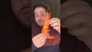 Une crevette XXL 🦐 asmr food degustation haul crevette crevettes mayonnaise gambas poisson [upl. by Yhotmit]