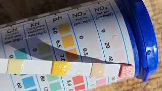 Bacterial Oxidation of Urine to Nitrates [upl. by Sand]