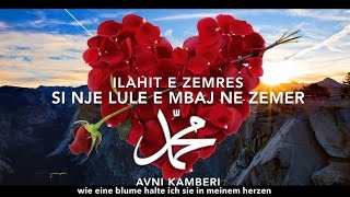 ilahi shqip 2016  Si nje Lule e mbaj ne Zemer  Avni Kamberi [upl. by Akimahs]