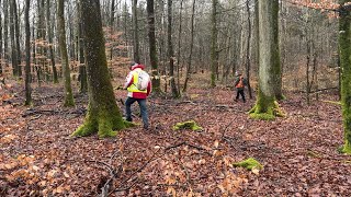 Des recherches archéologiques dans le Pays de Bitche [upl. by Ardnohs]