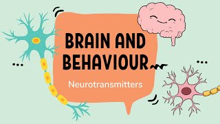 IB Psychology – Neurotransmission and Neurotransmitters [upl. by Idel]