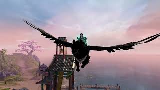 GW2 Wolf Griffon mount showcase [upl. by Eimia]