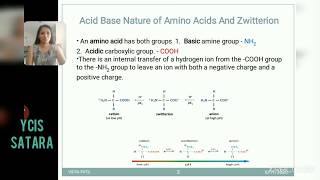 Zwitterion and acid base nature of amino acids [upl. by Ellehcrad]