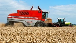 Massey Ferguson Centora 7280  Wintertarwe dorsen  Cutting wheat [upl. by Florin]