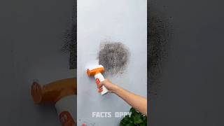 clean the wall fast 🤯三 New Viral Gadgets Smart Appliances Kitchen UtensilsHome Inventions shorts [upl. by Nnadroj209]