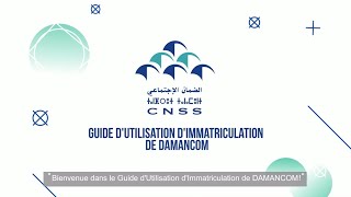 Nouveau DAMANCOM  Guide d’Utilisation d’Immatriculation [upl. by Ulphia644]