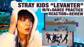 OG KPOP STANRETIRED DANCER reactsreviews Stray Kids quotLevanterquot MV  Dance Practice [upl. by Emmanuel471]