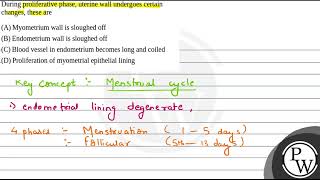 During proliferative phase uterine wall undergoes certain changes these are [upl. by Cadmar237]