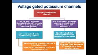 POTASSIUM CHANNELS [upl. by Lammaj]