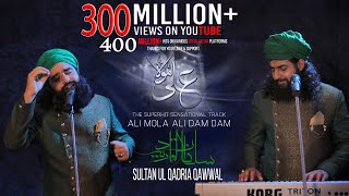 ALI MOLA ALI DAM DAM  Official Full Track  Remix  2019  Sultan Ul Qadria Qawwal [upl. by Mcclary]