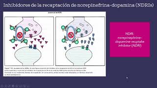 Psicofarmacología UNED  Tema 7 Parte 3 [upl. by Llenram923]