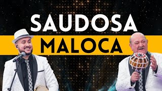 Demônios da Garoa cantam quotSaudosa Malocaquot no Faustão [upl. by Xuerd893]