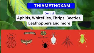 Exploring Thiamethoxam Uses Mode of Action and Environmental Considerations [upl. by Geehan403]