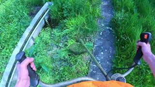 Extreme Grass Strimming Conquer the Jungle with Stihl FS460 [upl. by Cesare]