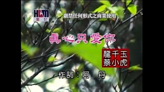 蔡小虎vs龍千玉真心只愛你官方KTV版 [upl. by Micah341]