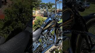 Mike’s Mobile Detailing🇺🇸 Harley Davidson Softail Springer harleydavidson softail custom [upl. by Aradnahc]