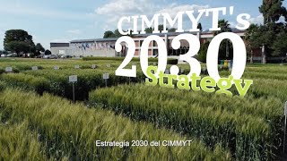 Ciencia e Innovación para un Mundo con Seguridad Alimentaria y NutricionalEstrategia 2030 CIMMYT [upl. by Riffle]