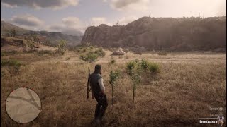 Red Dead Redemption 2 Online  Localización de groselleros negros Desafíos diarios [upl. by Eissen628]