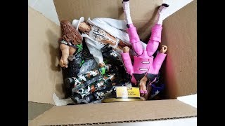 EPIC RARE WWE FIGURE UNBOXING [upl. by Yvonne]