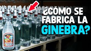 Como Se Fabrica La GINEBRA Proceso En Fábrica [upl. by Kaehpos206]