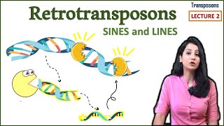 Retrotransposons II LINES SINES II Transposons Part 2 [upl. by Brittani745]