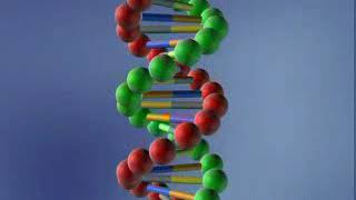 👨‍🏫 DNA molekula  8 razred  Biologija [upl. by Eilak]