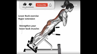 Lower back Hyperextension lowerbackworkout muscle erector spinae [upl. by Luehrmann]