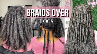 Braids Over Locs Tutorial  My first Time Attempting These [upl. by Aikyn]