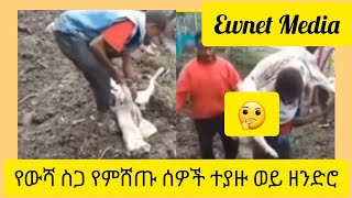 የውሻ ስጋ የምሸጡ ሰዎች ተያዙ ወይ ዘንድሮ🤔Ewnet MediaAbelbirhanu [upl. by Attaynik]