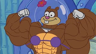 Sandy Cheeks Buff [upl. by Kazmirci592]