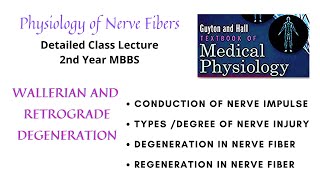 Nerve Injury Degeneration and Regeneration in Nerve fibers  Wallerian  Retrograde [upl. by Aihsenat]