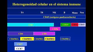 Repaso sobre interpretación de datos de citometría de flujo preparación para las prácticas [upl. by Enelia242]