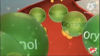 gamma Oryzanol health benefits [upl. by Keenan89]