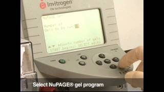 Invitrogen Novex® BisTris Gel System Demonstration [upl. by Lattonia]