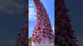 Flower tower subscribe flowers nature shortvideo birds youtubeshorts [upl. by Ihsorih]