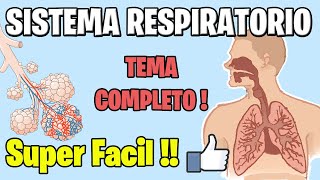 Anatomía y Fisiología del SISTEMA RESPIRATORIO COMPLETO MEJOR EXPLICADO [upl. by Ikkiv229]