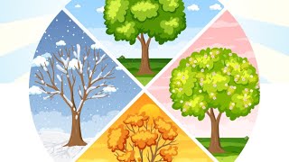 Four Seasons  kids video  make your kids learn seasons  Easy and fun  summer kids seasons [upl. by Jaquenetta]