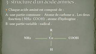 Biochimie les protéines partie 1  généralité sur les acide aminés [upl. by Anibur]