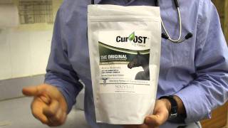 CurOST EQ Antiinflammatory for horses [upl. by Enutrof]